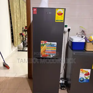 Chigo Large Refrigerator