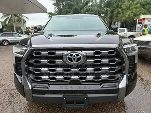Toyota Tundra 2024 Gray