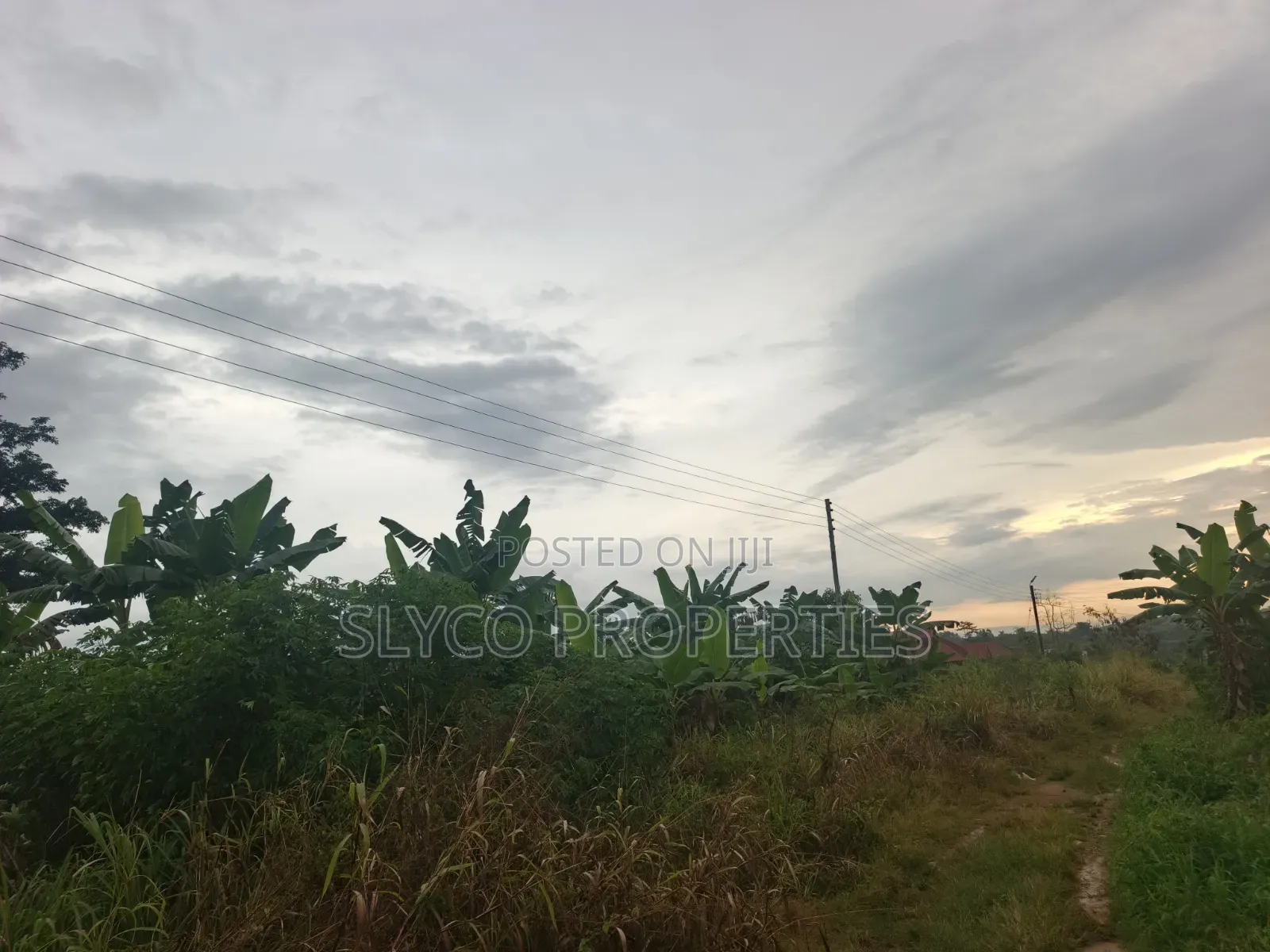 100×100 Plot of Land for Sale at Koforidua FCB Estate