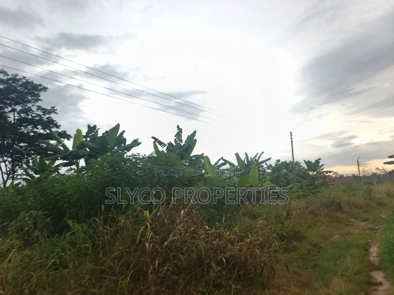 100×100 Plot of Land for Sale at Koforidua FCB Estate