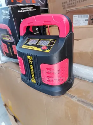 Smart Intelligent 12v/24v Car Battery Charger