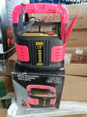Smart Intelligent 12v/24v Car Battery Charger