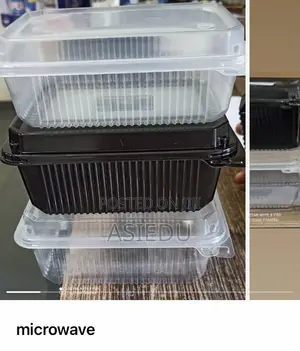 Microwave Hinged Container Available for Sale at Affordable Prices