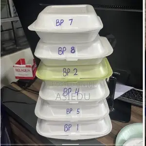 Microwave Hinged Container Available for Sale at Affordable Prices