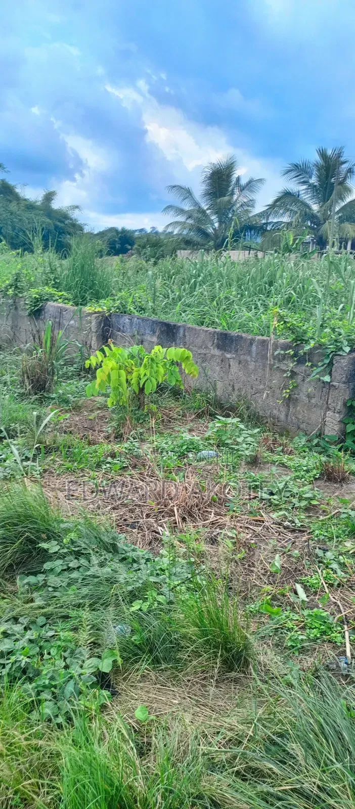 Land for Sale at UHAS Roundabout Off to the Main Campus