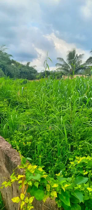 Land for Sale at UHAS Roundabout Off to the Main Campus