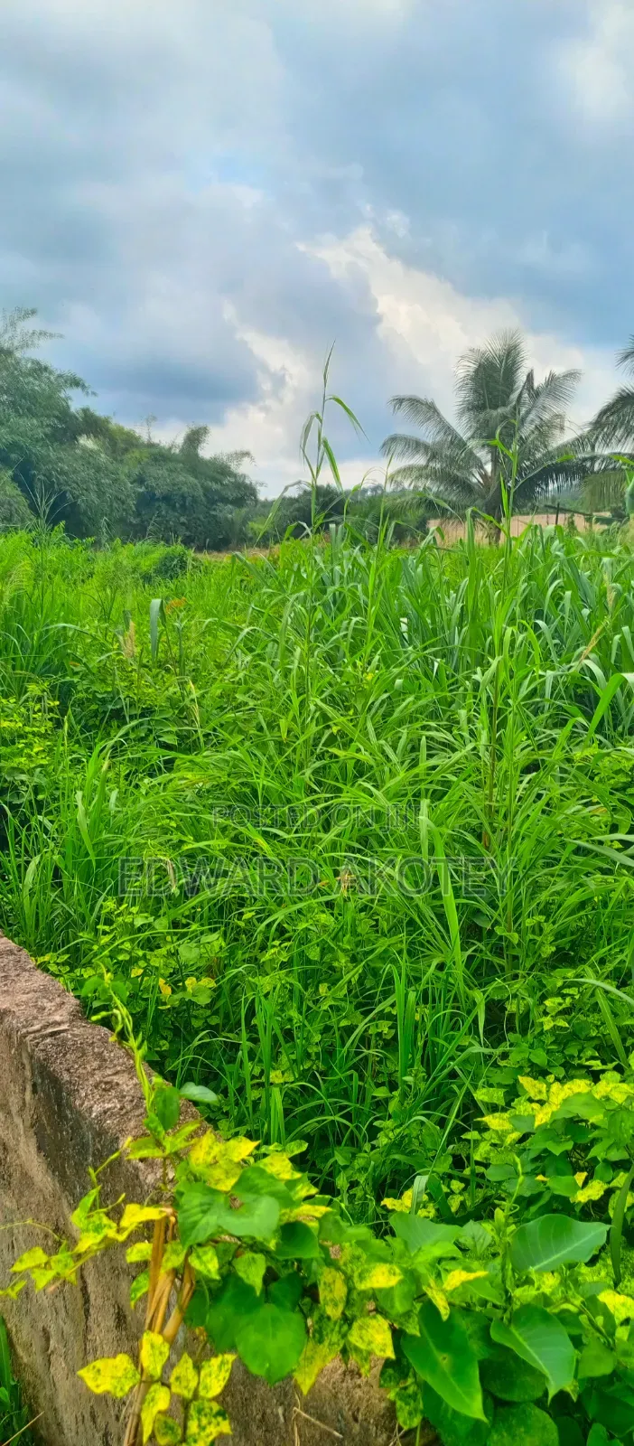 Land for Sale at UHAS Roundabout Off to the Main Campus