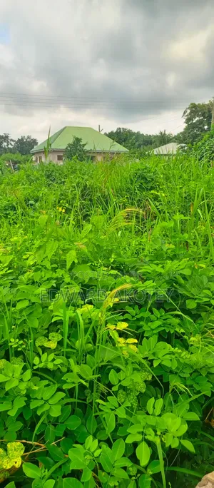 Land for Sale at UHAS Roundabout Off to the Main Campus