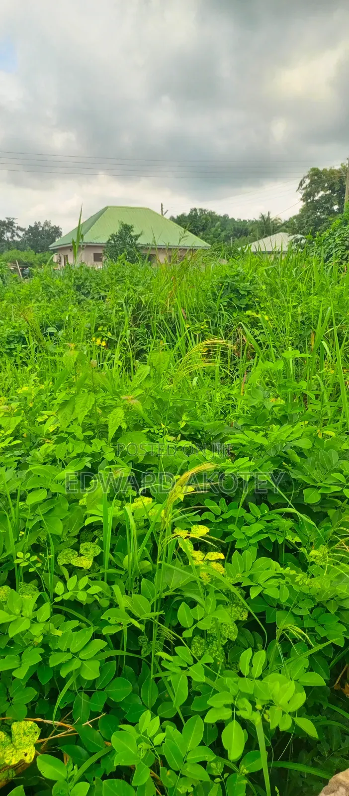 Land for Sale at UHAS Roundabout Off to the Main Campus