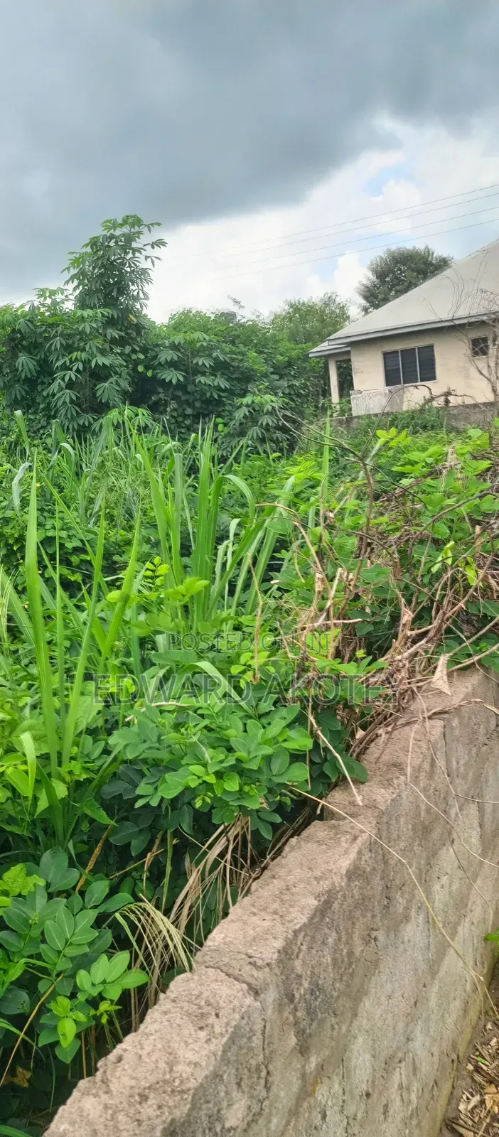 Land for Sale at UHAS Roundabout Off to the Main Campus