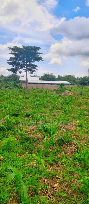 Land for at UHAS Roundabout (Etoé)