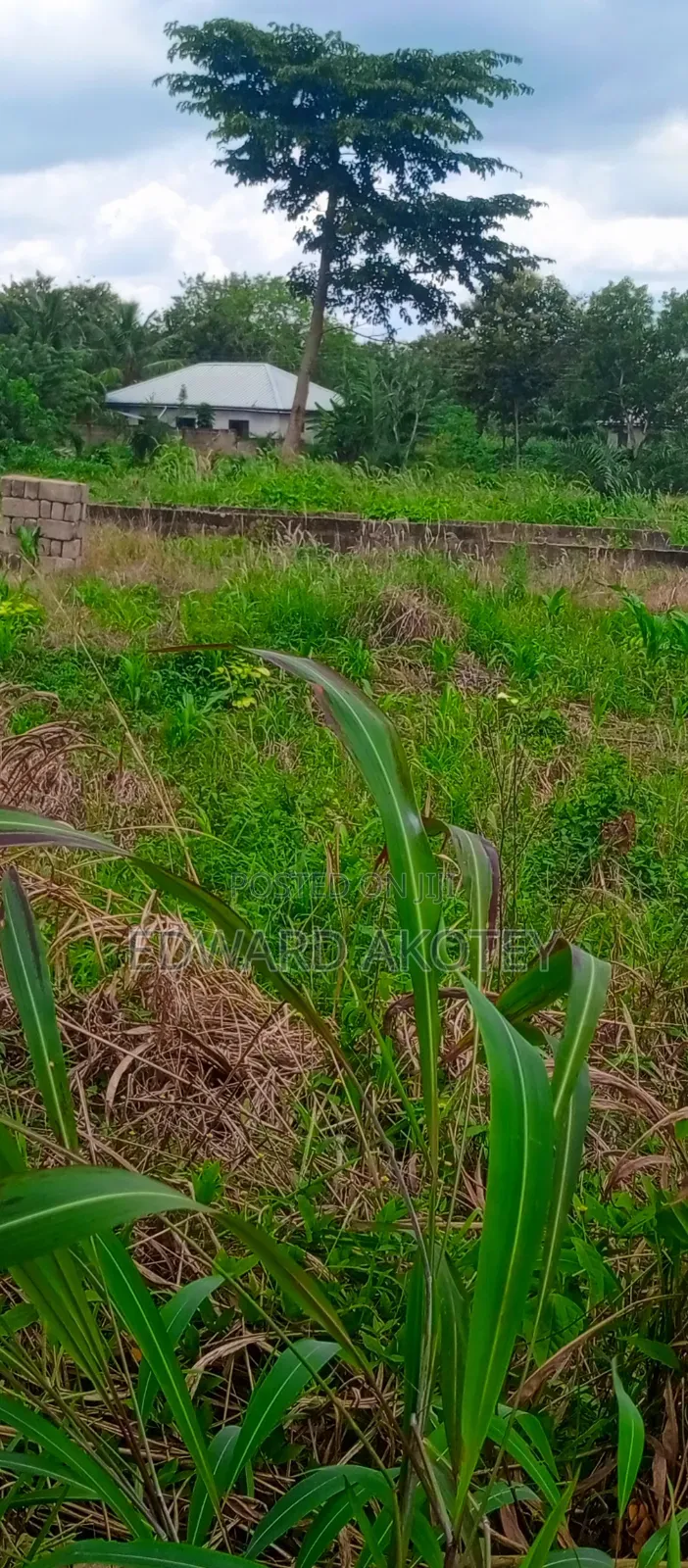 Land for at UHAS Roundabout (Etoé)