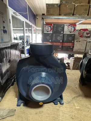 PEDROLLO 3HP Surface Water Pump
