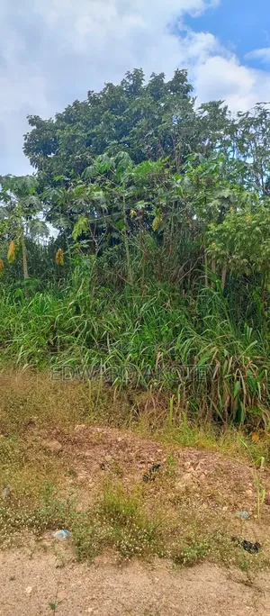 Land for Sale at Sokode Ando