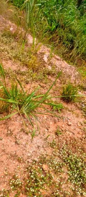 Land for Sale at Sokode Ando