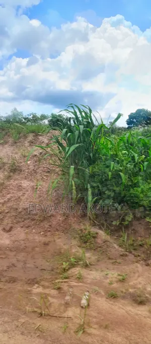 Plots of Registered Land for Sale