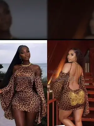 Ladies Dresses