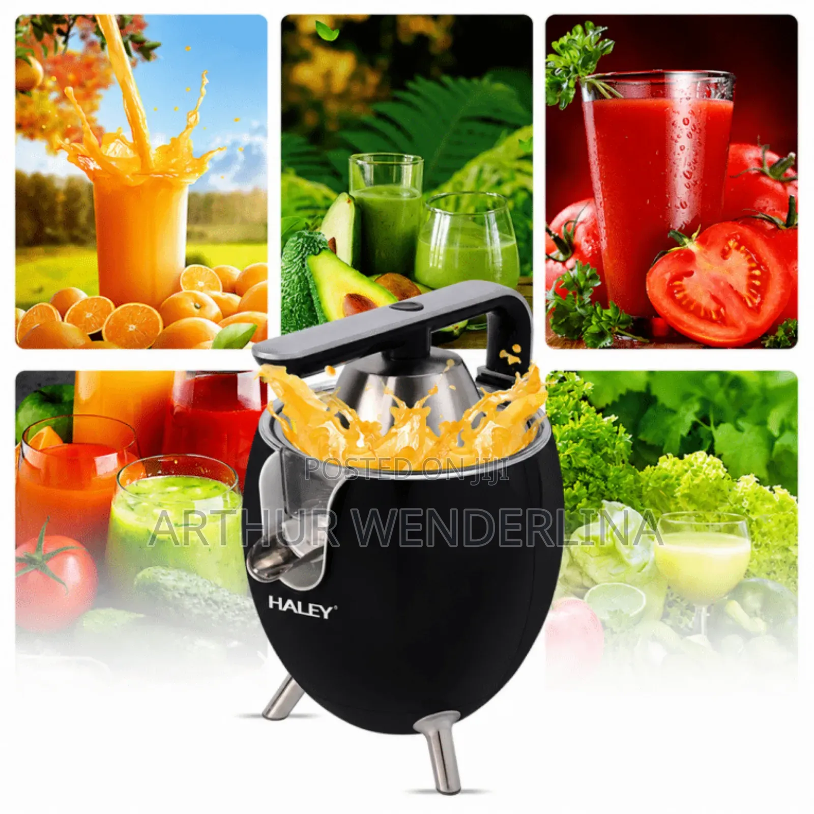 Haley Electric Citrus Juicer Machine
