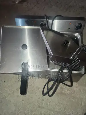 Industrial Deep Fryer
