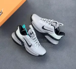 Original Nike LeBron Ambassador Grey