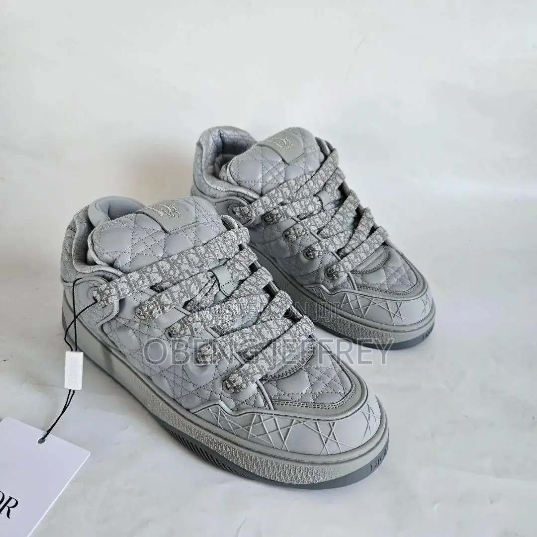 Original Dior B9S Skater Gray