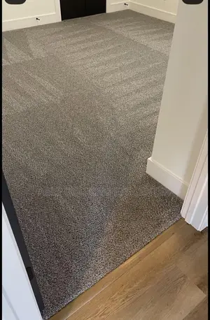 Gray Fluffy Woolen Carpets for Bedroom, Living Room and Office