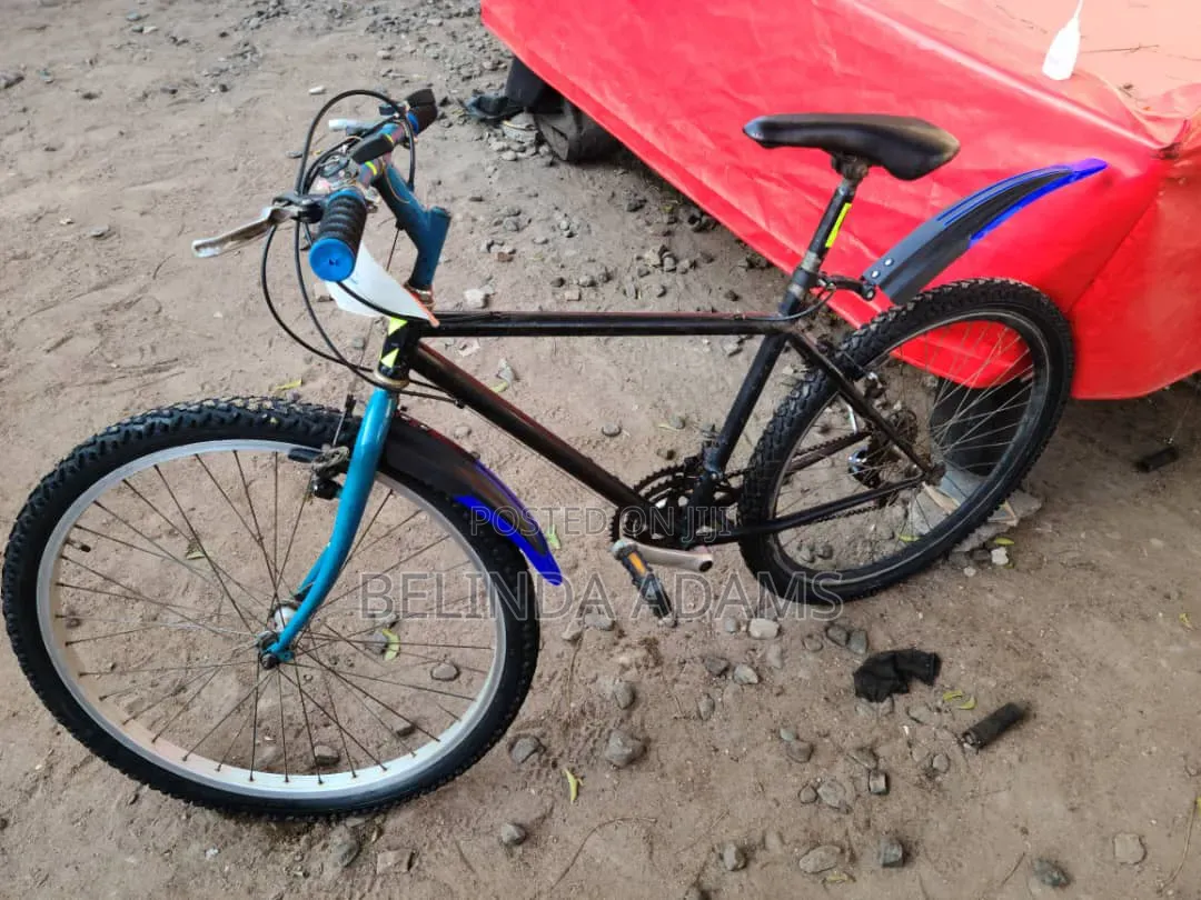 Bicycle for Sale