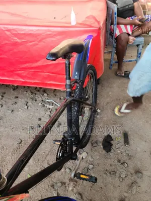 Bicycle for Sale