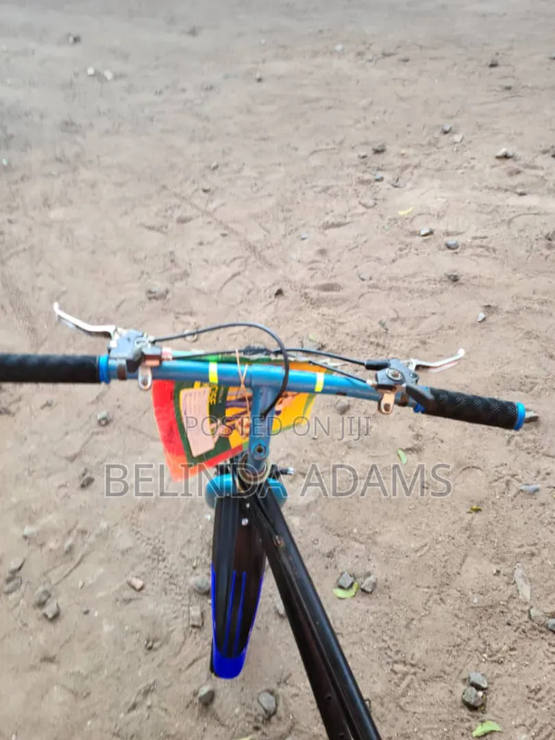 Bicycle for Sale