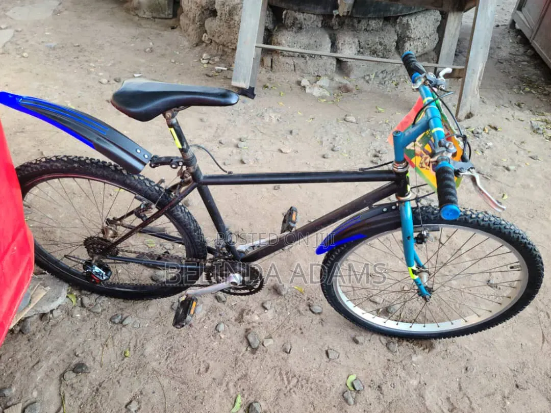 Bicycle for Sale