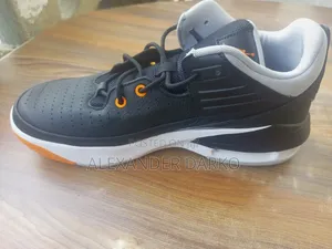 Nike Jordan Max Aura 5