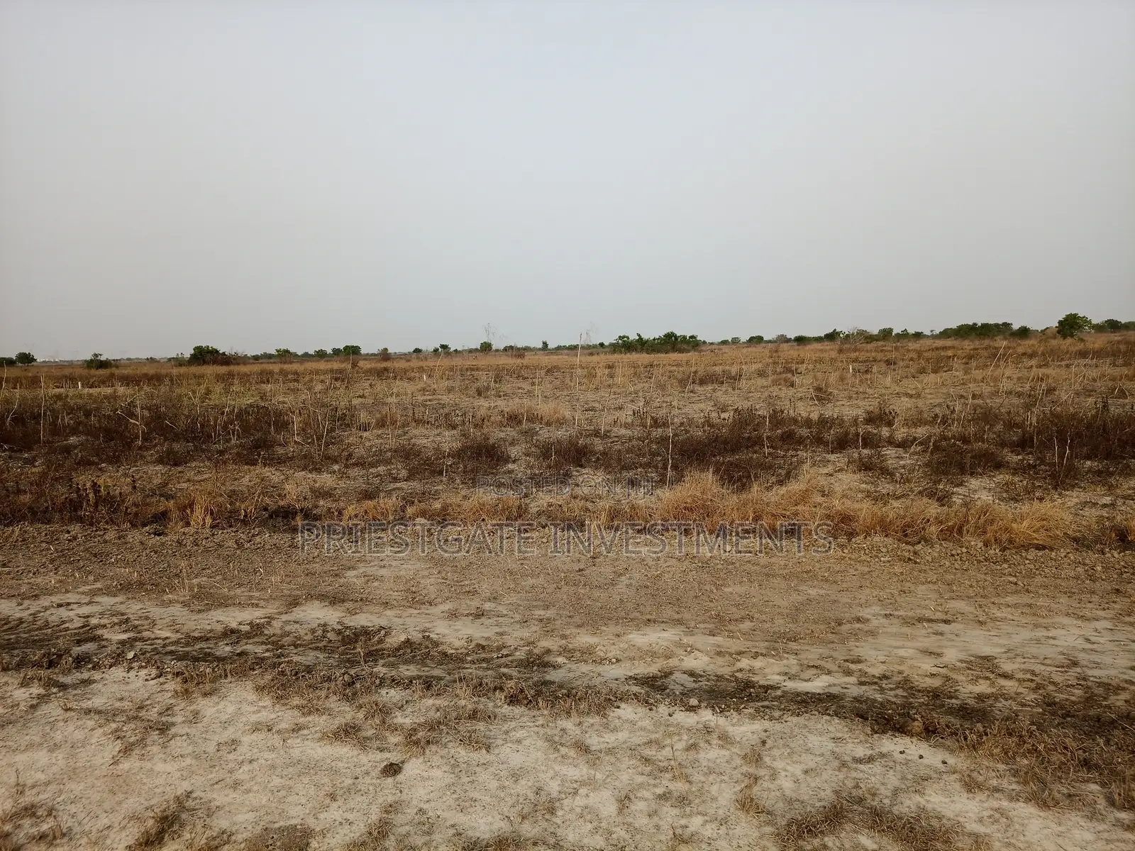 Your Dream Property Starts Here – Land at Tsopoli