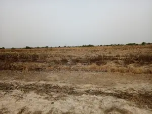 Your Dream Property Starts Here – Land at Tsopoli