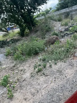 Land Forsale- Kokomlemle