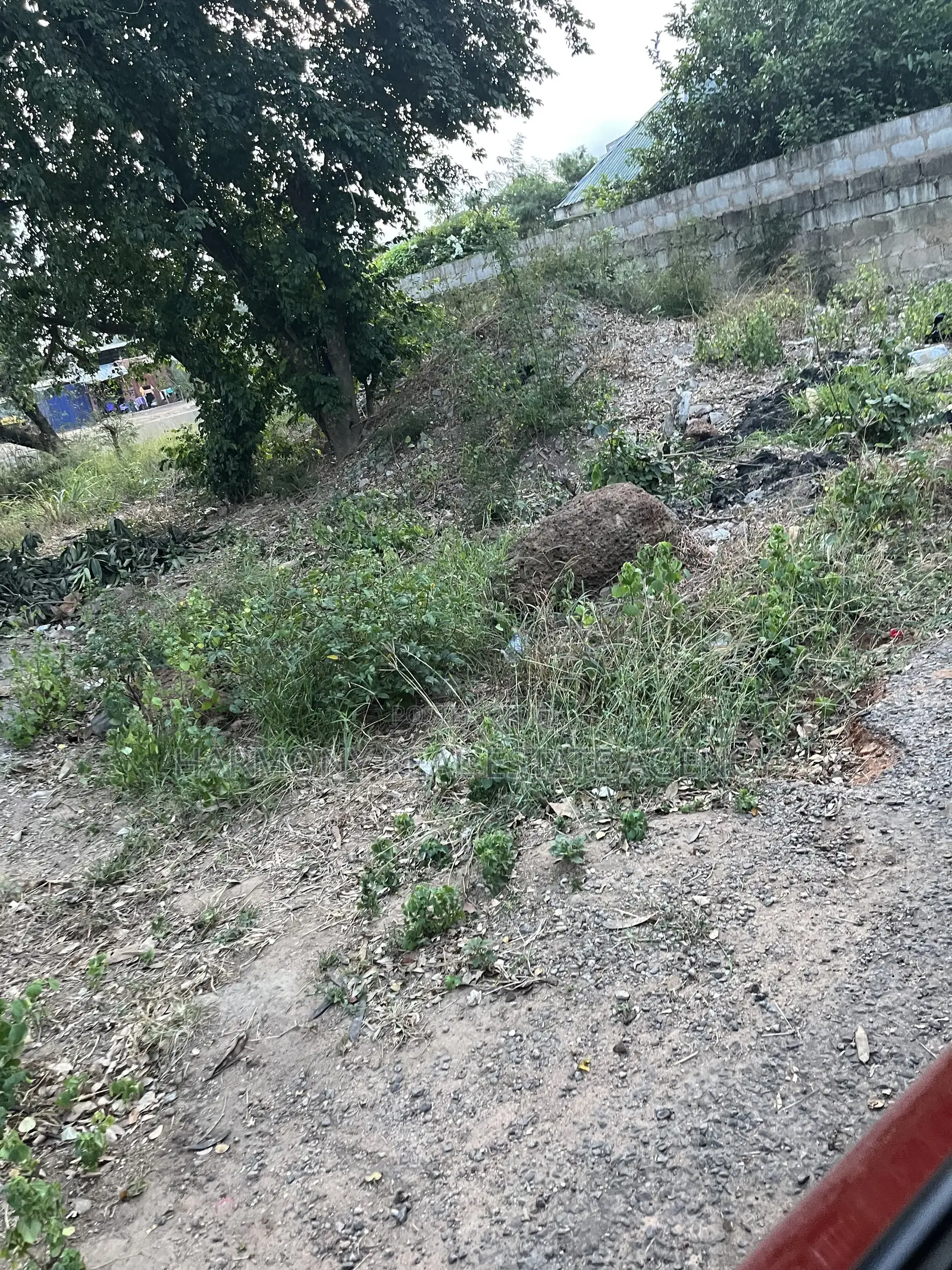 Land Forsale- Kokomlemle