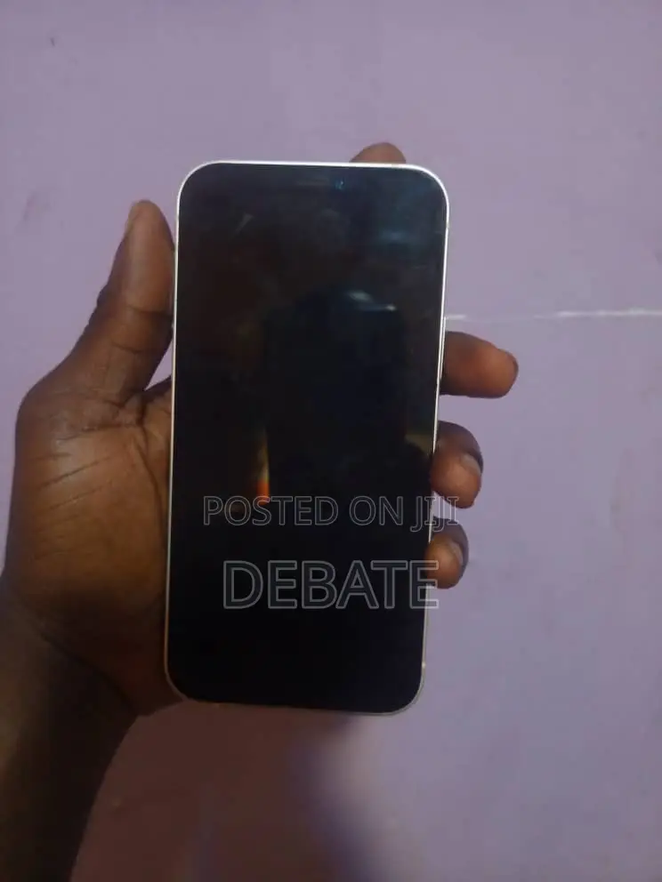 Apple iPhone 12 128 GB Gray