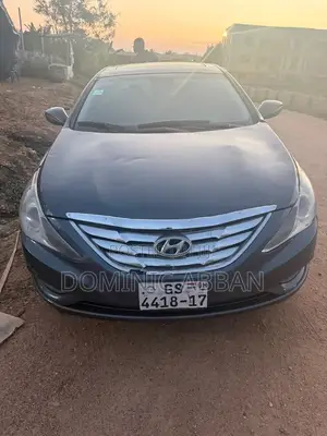 Hyundai Sonata 2013 Gray