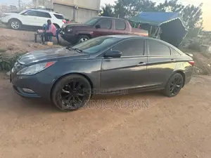 Hyundai Sonata 2013 Gray