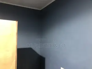 Professional Painting More_ Reliable Affordable