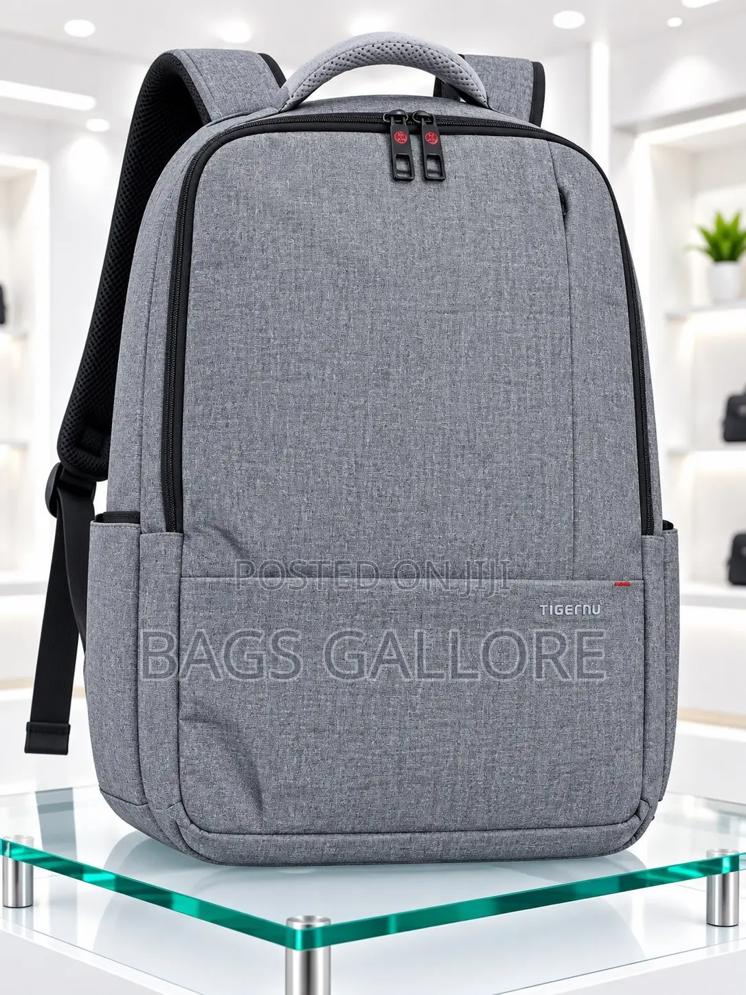 17inches Office Backpack