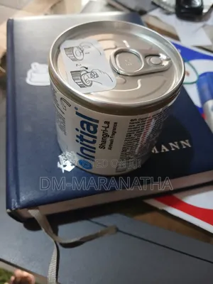 Initial Air Freshener for All Purpose