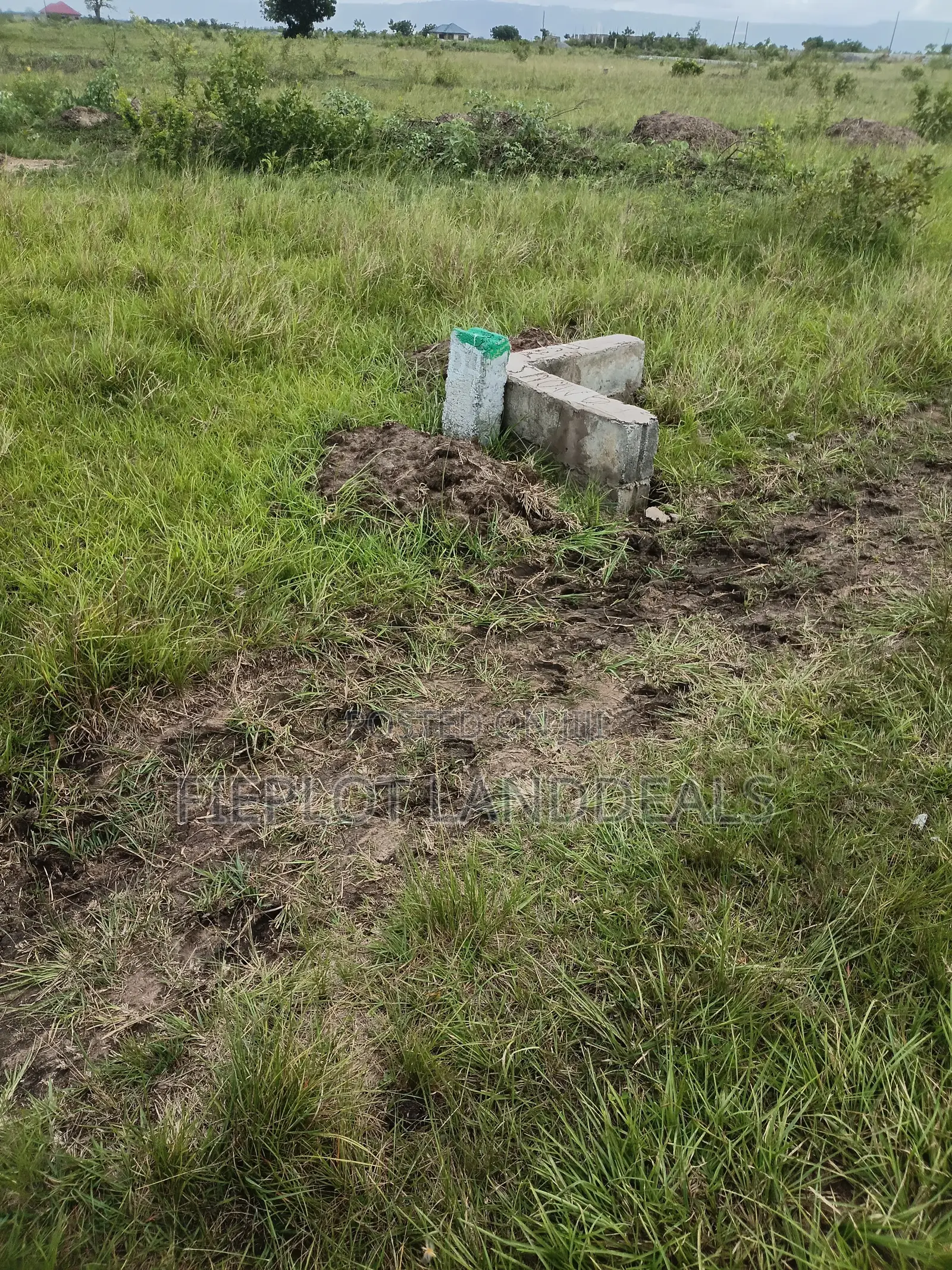 Prime Full Plot Estate Offer at Shai Hills Dedenya