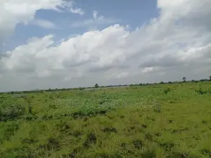 Prime Full Plot Estate Offer at Shai Hills Dedenya