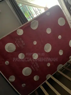A Slightly Used Local Double Mattress