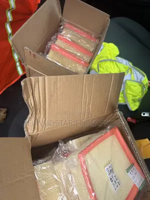 Ford Fiesta Air Filter