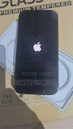 Apple iPhone 16 Pro 256 GB Silver