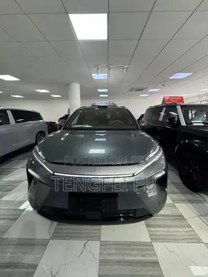New BYD Tang DM-i 2025 Gray