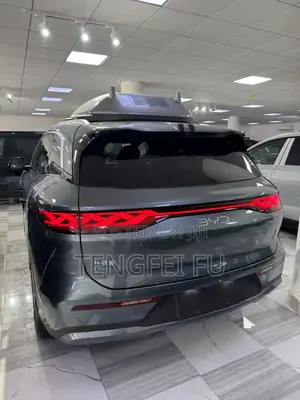 New BYD Tang DM-i 2025 Gray