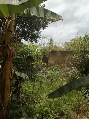 A Plot of Land