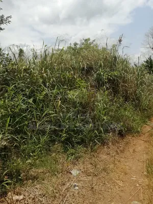 A Plot of Land